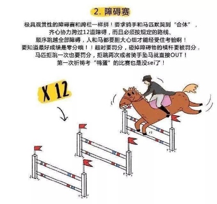 赛马智能算法教学 深入浅出赛马智能算法原理与应用