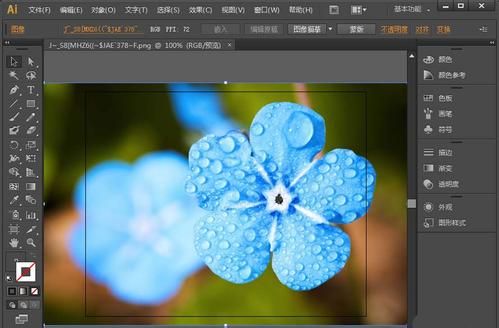 ai透明蒙版的使用方法 让你轻松掌握ai透明蒙版的技巧