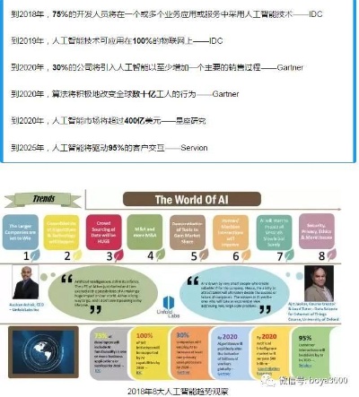 人工智能在新西兰的发展现状及未来趋势