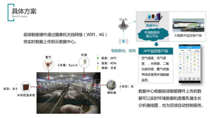 人工智能养猪 智能化养猪技术探究