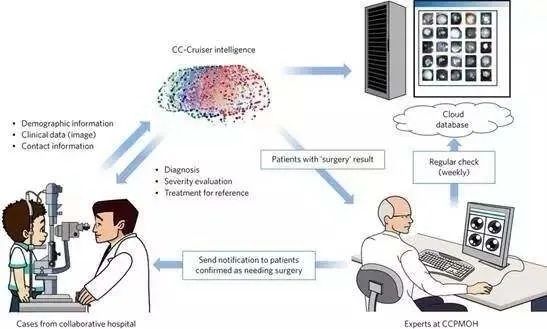 生物智能算法论文 探索生物智能在算法领域的应用