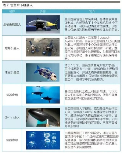 水下人工智能技术的应用与前景分析