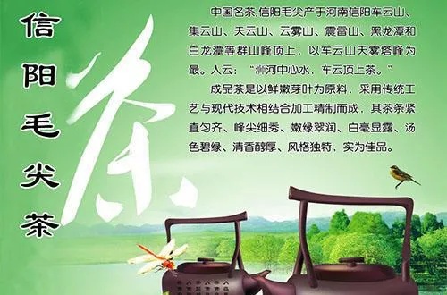 信阳毛尖88ai 了解中国茶文化中的信阳毛尖