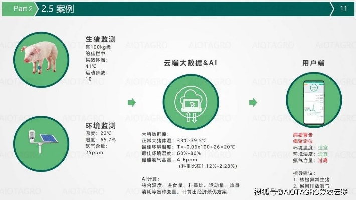 人工智能猪：探索未来智能养殖的新模式