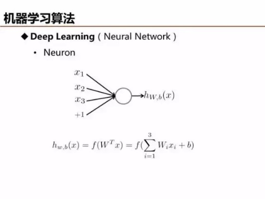 机器学习常见算法 了解机器学习中常用的算法