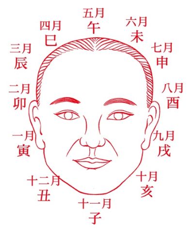 AI看相 人工智能的面相识别技术