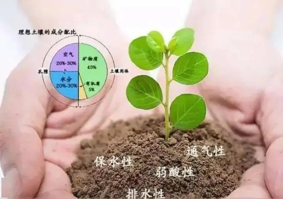 土壤酸碱性智能算法 利用人工智能技术提高土壤酸碱性诊断精度
