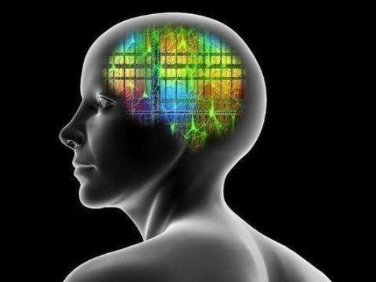 人脑挑战人工智能 探讨人类智能与人工智能的较量