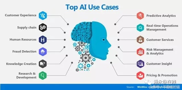 AI软件是做什么用的 深入解析人工智能软件的应用领域