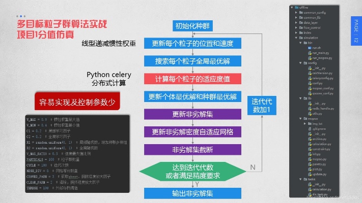多目标优化智能算法源码 附实现代码和详细解析