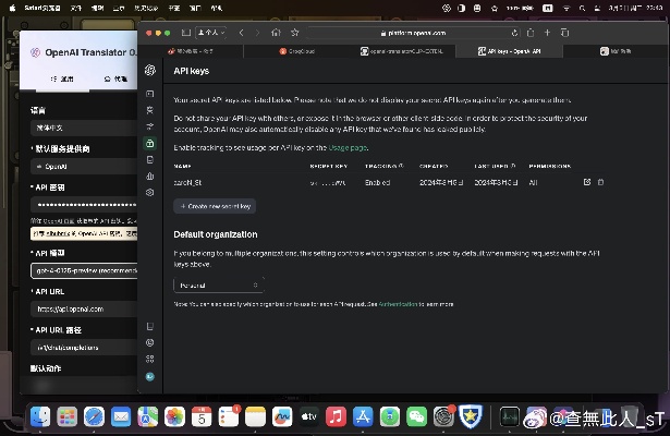 OpenAi怎么设置 详细介绍OpenAi的设置步骤和注意事项
