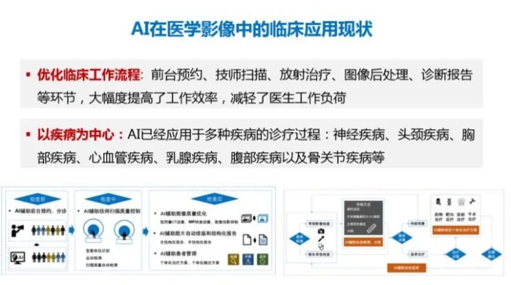 影像AI 探讨影像AI技术的应用与发展