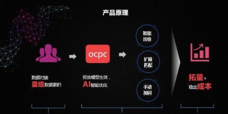 ocpc智能算法 全面解析ocpc智能算法的应用与优势