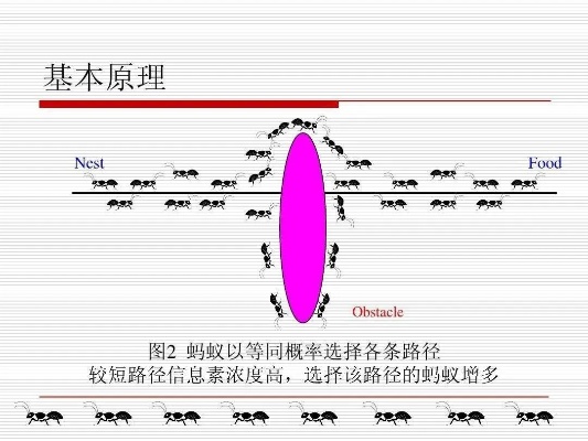 蚁群智能算法优缺点 探究蚁群算法的优劣之处