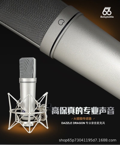 u87ai 一款高品质录音麦克风的介绍