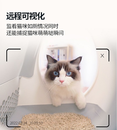 小猫AI：探索未来智能宠物的可能性