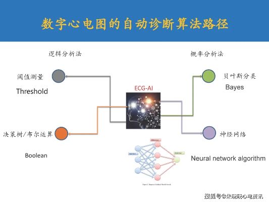 智能算法分析心电图 探究现代医学的新技术